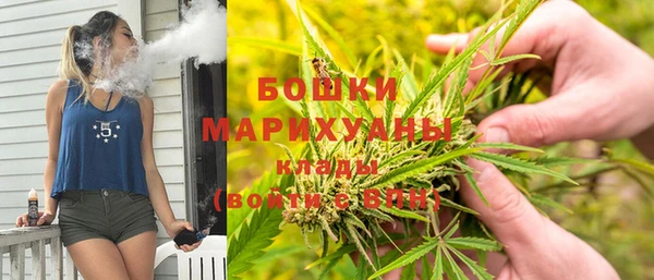 гидра Осинники