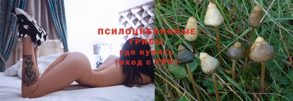 прущие грибы Алзамай