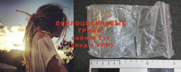 прущие грибы Алзамай