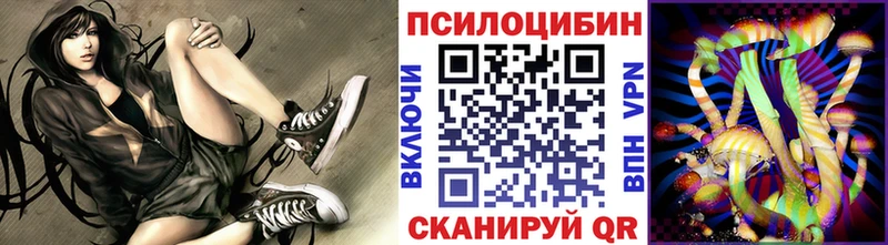 Псилоцибиновые грибы Psilocybine cubensis  купить закладку  Салехард 